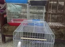 اقفاصه طيور منوهع اقفاصه طيور منوهع
