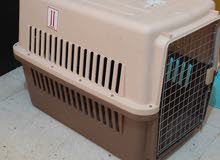 large dog box in a very good condition used only one time and airlines approved large dog box in a very good condition used only one time and airlines approved