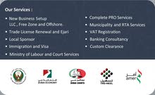 Dubai Business Setup & Freelance Visa Service