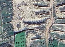Mixed Use Land for Sale in Hebron Tarqumiyah