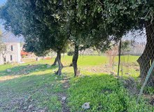 Residential Land for Sale in Salt Zay