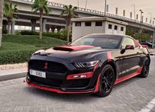 2016 Ford Mustang premium with Shelby bodykit