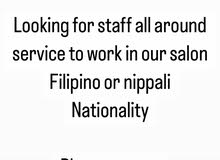 looking for salon staff