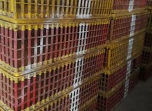 طرود دجاج طرود دجاج