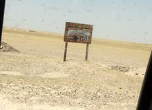 عقد زراعي عقد زراعي