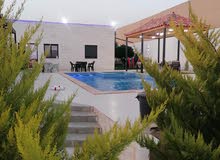 مزرعه اللؤلؤه