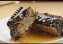 عسل بلدي باب ا اول 100% عسل بلدي باب ا اول 100%