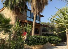 Furnished Chalet for Rent in Jordan Valley Ghor Al Kafrain