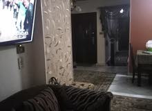 شارع العروبة الرئيسي الهرم شارع العروبة الرئيسي الهرم