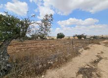 Residential Land for Sale in Jenin Beit Qad