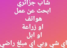 انا شاب جزائري اتكلم الماراتية ابحث عن عمل انا شاب جزائري اتكلم الماراتية ابحث عن عمل