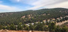 Mixed Use Land for Sale in Jerash Other