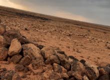 Farm Land for Sale in Bethlehem Other