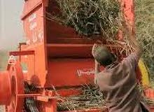 عمال دقاقة فول سوداني عمال دقاقة فول سوداني