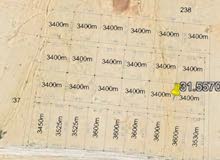 Farm Land for Sale in Amman Airport Road - Manaseer Gs