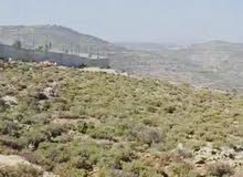 قطعة ارض في سنجل للبيع