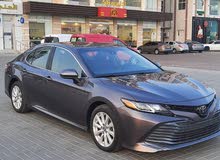 Camry LE 2020