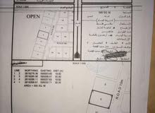 ارض في بركاء منطقة الهرم ارض في بركاء منطقة الهرم