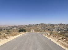 Residential Land for Sale in Zarqa Birayn