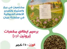 برسيم ايطالي مكعبات عالي البروتين (23٪) برسيم ايطالي مكعبات عالي البروتين (23٪)