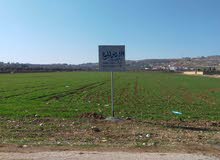 Mixed Use Land for Sale in Amman Naour