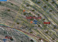 نمرتين ارض طابو كل نمرة  710 متر مطلة مميزة مقابل الريحان من المالك مباشرة في منطقة هادئة و مميزة