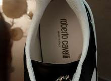 Other Sport Shoes in Amman