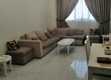 شقه مفروشه للايجار بالشارقه القليعه شقه مفروشه للايجار بالشارقه القليعه