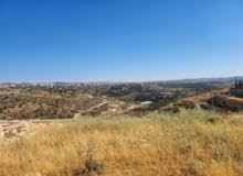 Mixed Use Land for Sale in Hebron Surif
