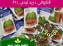 فيفااااي تايواني ( ريد ليدي ) عرض ناااار فيفااااي تايواني ( ريد ليدي ) عرض ناااار