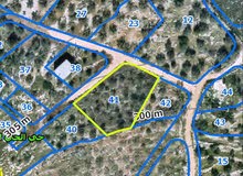 Residential Land for Sale in Tulkarm Kafr Abush