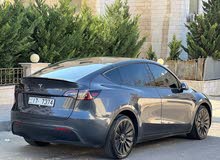 TESLA MODEL Y Dual motor 2022