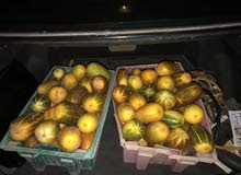 خيار أصفر - yellow cucumber خيار أصفر - yellow cucumber