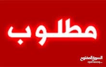 مطلوب شقه من المالك مطلوب شقه من المالك