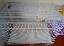 2 fiches with cage