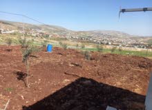 Mixed Use Land for Sale in Nablus Taluza