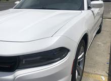SXT تشارجر 216 SXT تشارجر 216