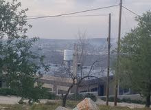 Mixed Use Land for Sale in Salfit Askaka