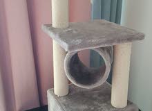 Cat Tree and Scratcher