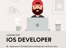 ios developer ios developer