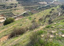 Mixed Use Land for Sale in Hebron Halhul