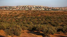 اراضي فلسطينية للبيع اراضي فلسطينية للبيع