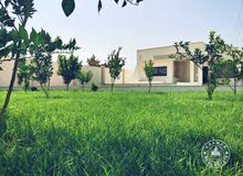 استراحة تشطيب ممتاز للبيع في زويته استراحة تشطيب ممتاز للبيع في زويته