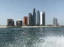 وكيل خدمات / Services agent وكيل خدمات / Services agent