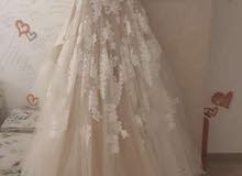 Bride’s Wedding Dress Bride’s Wedding Dress
