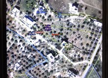 Mixed Use Land for Sale in Jenin Qabatiya