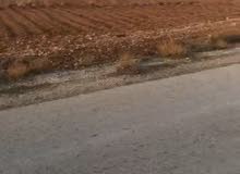 Residential Land for Sale in Mafraq Al-Badiah Ash-Shamaliyah Al-Gharbiya