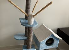 cat tree ( home) cat tree ( home)