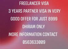 urgent  contact for FREELANCER visa 3 yr partner Visa good offer only 8999