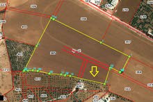 Farm Land for Sale in Madaba Other